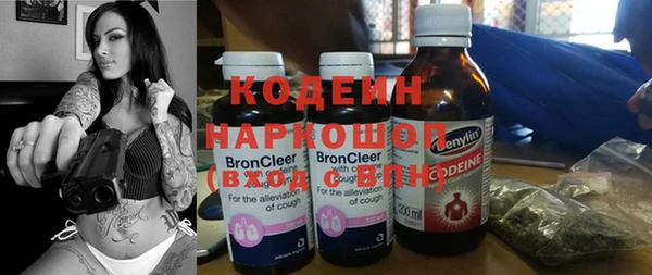 индика Баксан