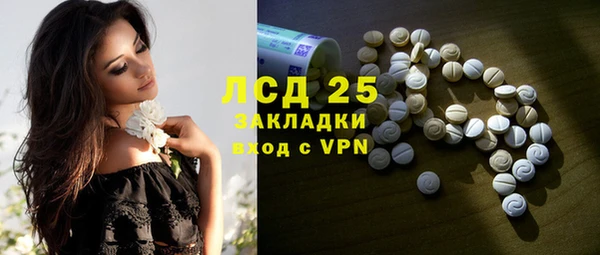 индика Баксан