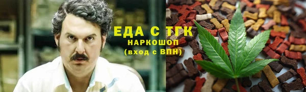индика Баксан