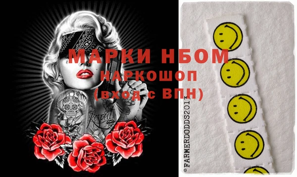 индика Баксан