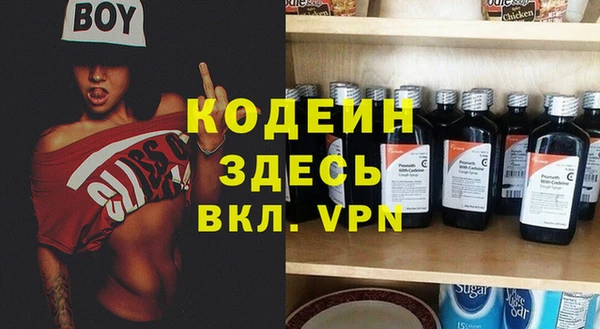 индика Баксан