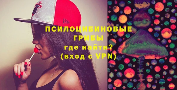 индика Баксан