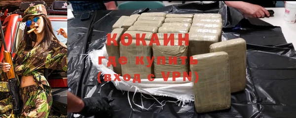 индика Баксан