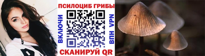 Купить закладки  Змеиногорск  Галлюциногенные грибы GOLDEN TEACHER 